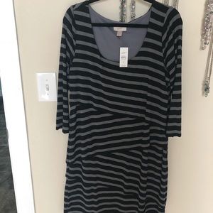 Loft dress size large NEW!